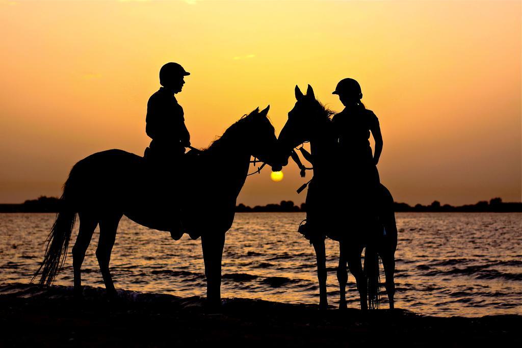 Anantara Desert Islands Resort & Spa Zahr Экстерьер фото
