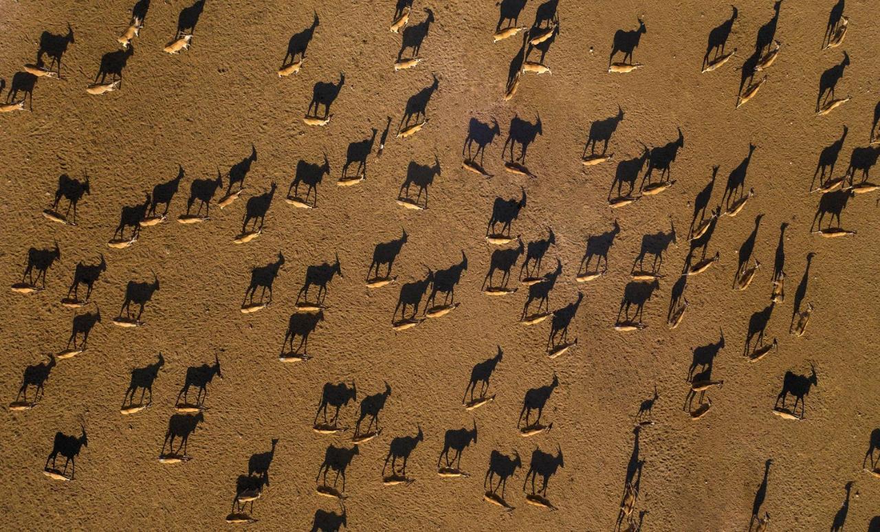 Anantara Desert Islands Resort & Spa Zahr Экстерьер фото